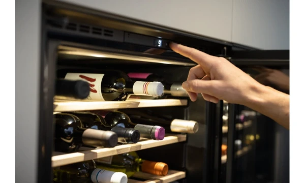 PD003_131.0690.488.jpg