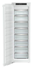 SIFNe 5128 (1).jpg
