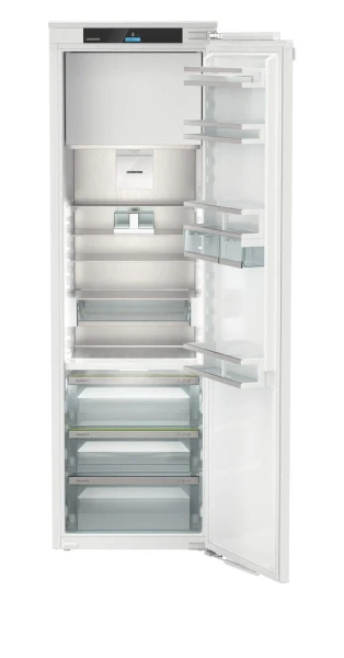 IRBci 5151 (1).jpg