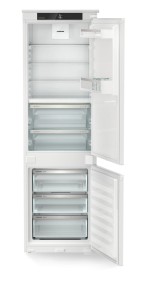 ICBNSd 5123 (1).jpg