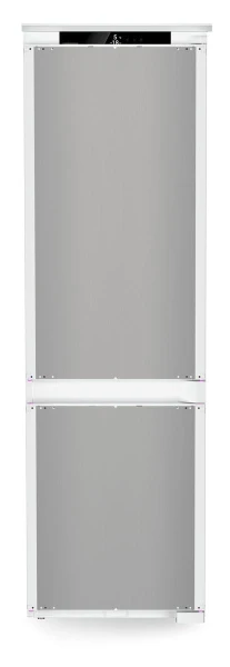 ICBNSd 5123 (2).jpg