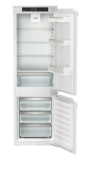 ICNd 5103 (1).jpg
