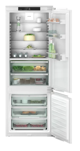 imgi_4_ICBNc 7623.png